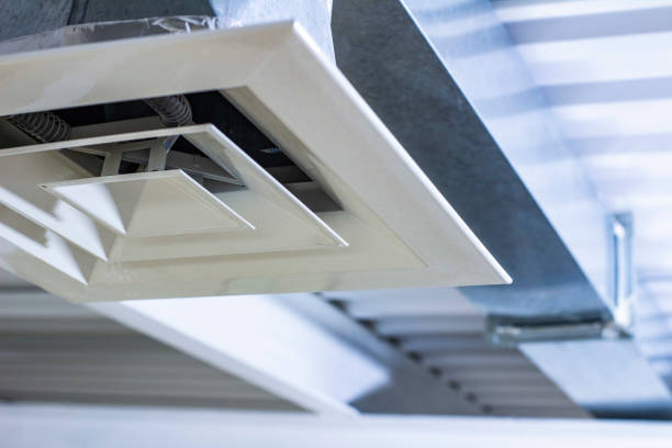 Best Dryer Vent Cleaning Services  in Whitehall, MI