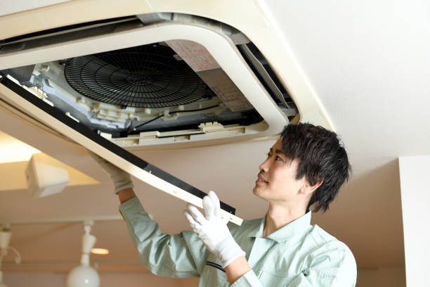 Best Emergency Air Duct Cleaning  in Whitehall, MI
