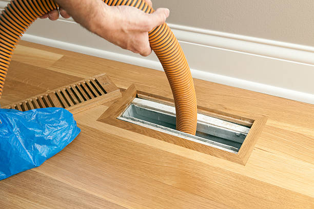 Best Affordable Air Duct Cleaning  in Whitehall, MI